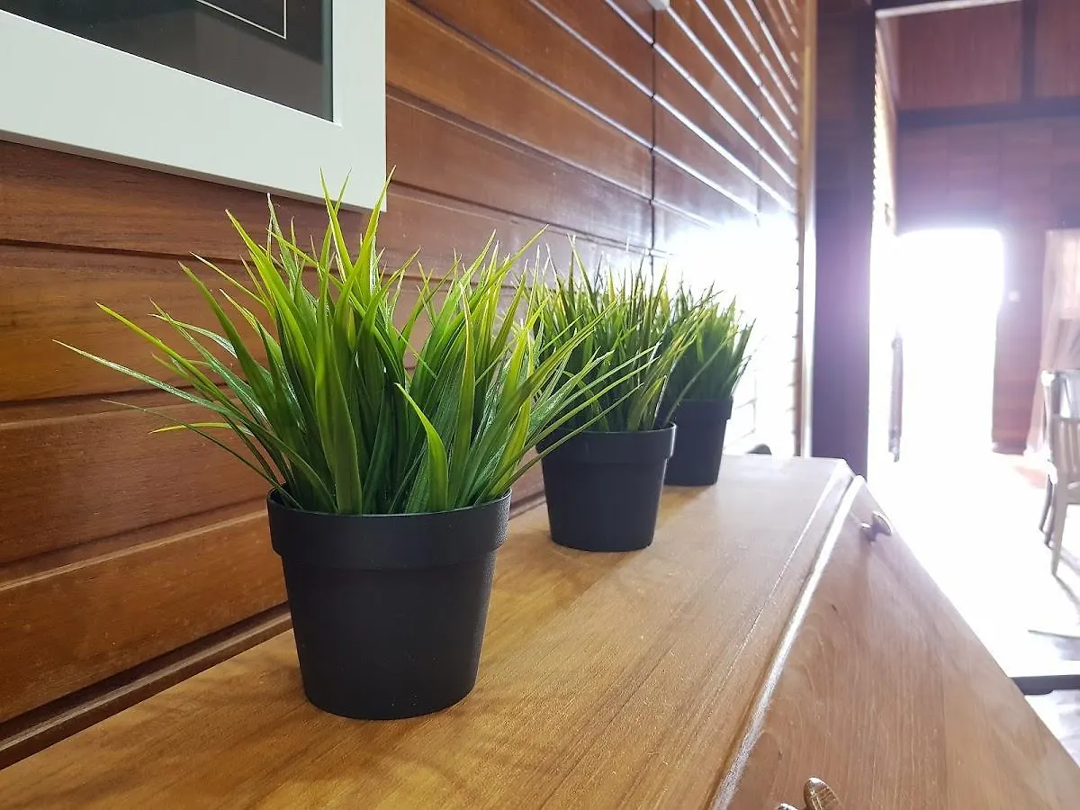 Country house Rumah Kayu Johor Bahru Malaysia